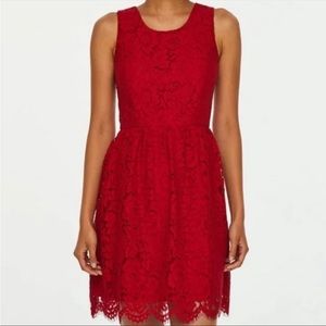 Red eyelash lace Loft Outlet Dress